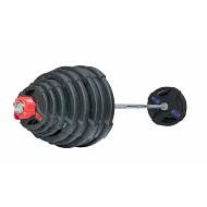 Штанга олимпийская OriginalFitTools 218 кг (диски с двумя хватами)