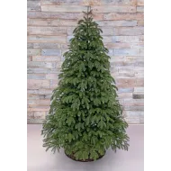 Ель Дворянская 100% литая 215 см зеленая